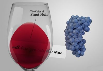 Невероятни факти за сорта Pinot Noir